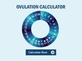 Ovulation Calculator