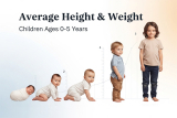 Average Height and Weight for Babies and Toddlers