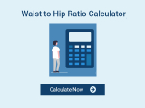 WHR Calculator